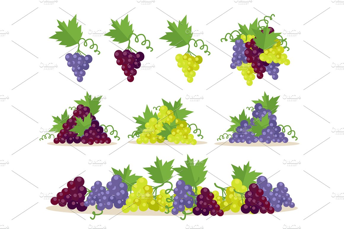 Collection of Grapes Sorts cover image.