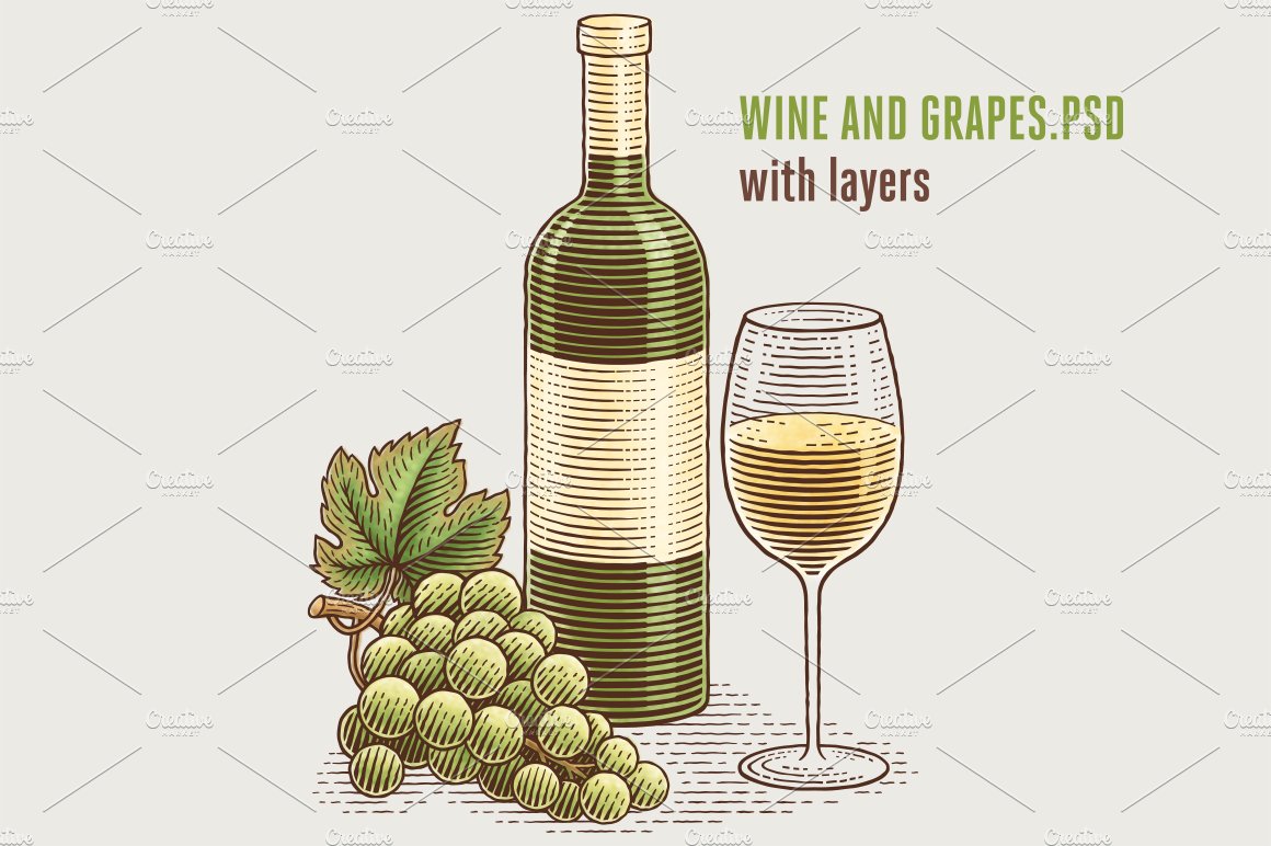 wine and grape 831