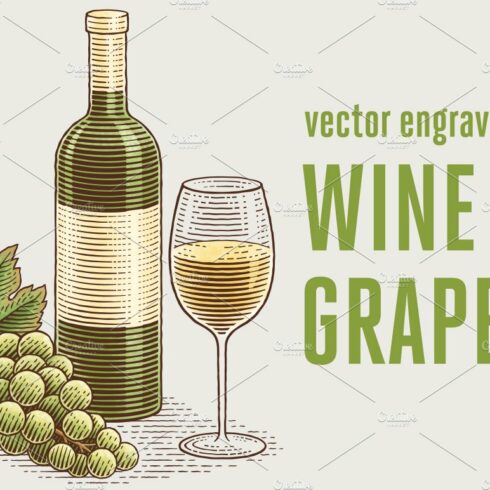 Wine and grape cover image.