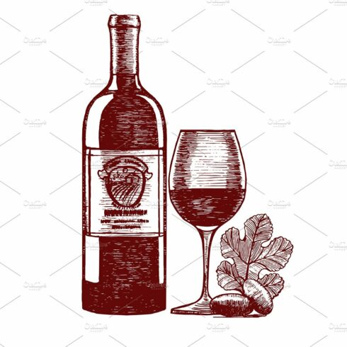 Wine Hand Draw Sketch. Vector cover image.