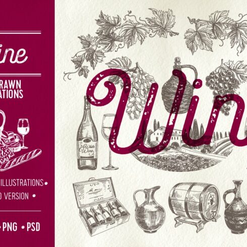 Hand drawn wine illustrations cover image.