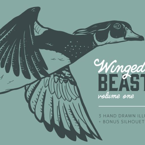 Winged Beasts | Duck Illustrations cover image.