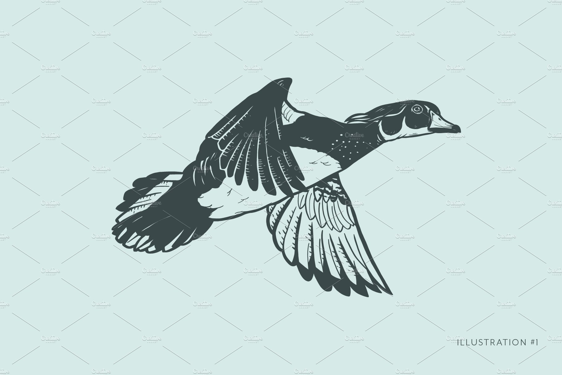 Winged Beasts | Duck Illustrations preview image.