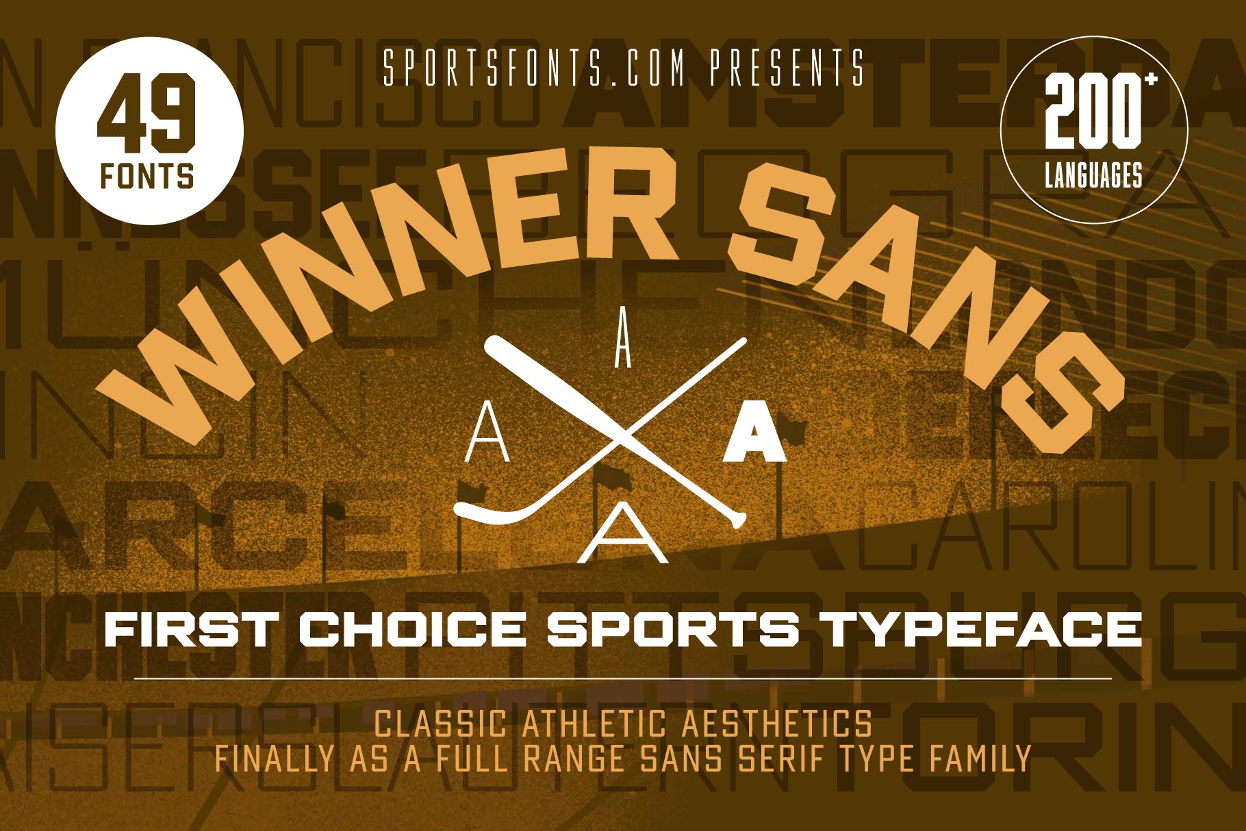 Winner Sans Complete cover image.
