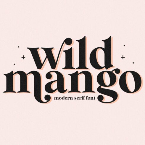 Wild Mango | Modern Serif Font cover image.