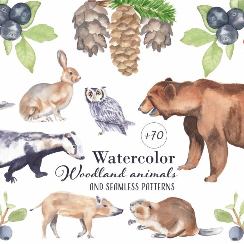 Woodland animals-watercolor clipart cover image.