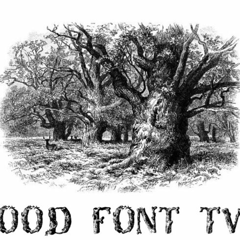Wood Font Two cover image.