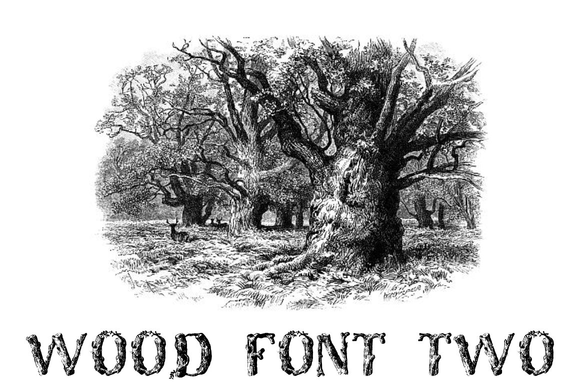 Wood Font Two cover image.