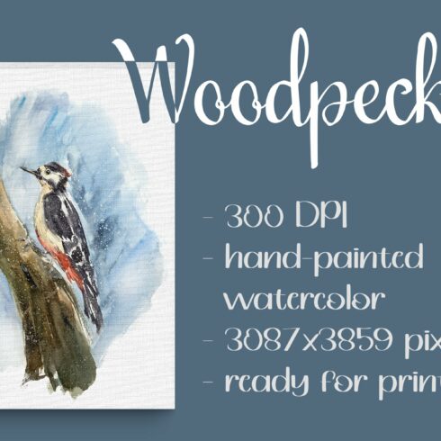 Woodpecker Clip Art and Print cover image.