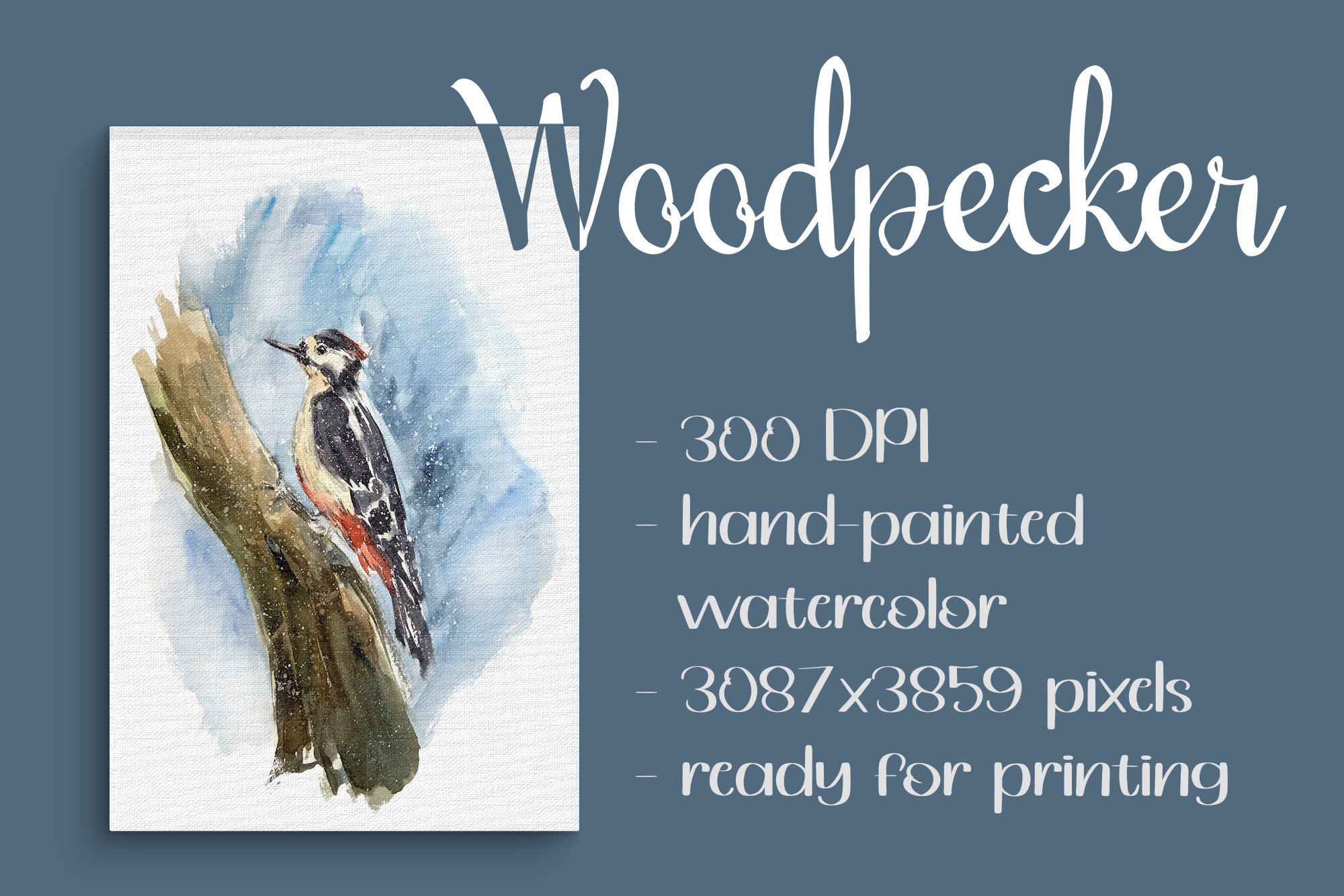 Woodpecker Clip Art and Print cover image.