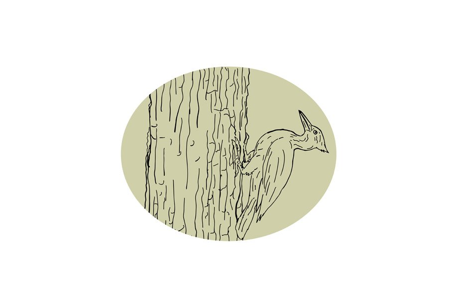 Woodpecker Pecking Tree Drawing cover image.
