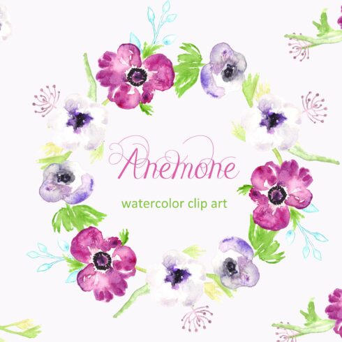 Anemone watercolor clip art cover image.