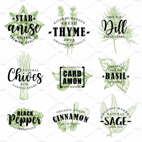 Spice or herb lettering with food cover image.