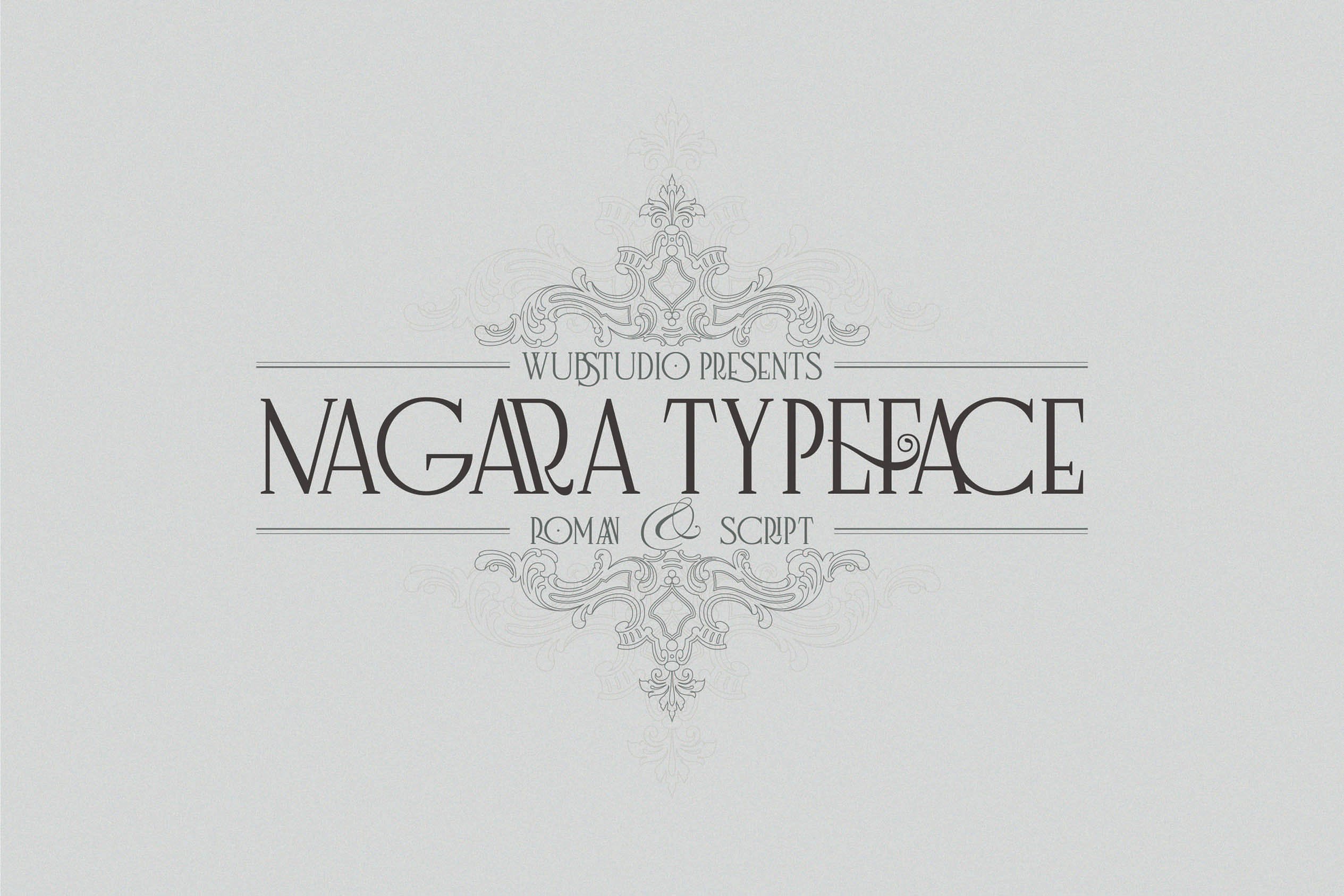 Nagara Typeface (Roman & Script) preview image.
