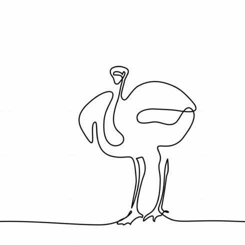 Ostrich walking symbol cover image.
