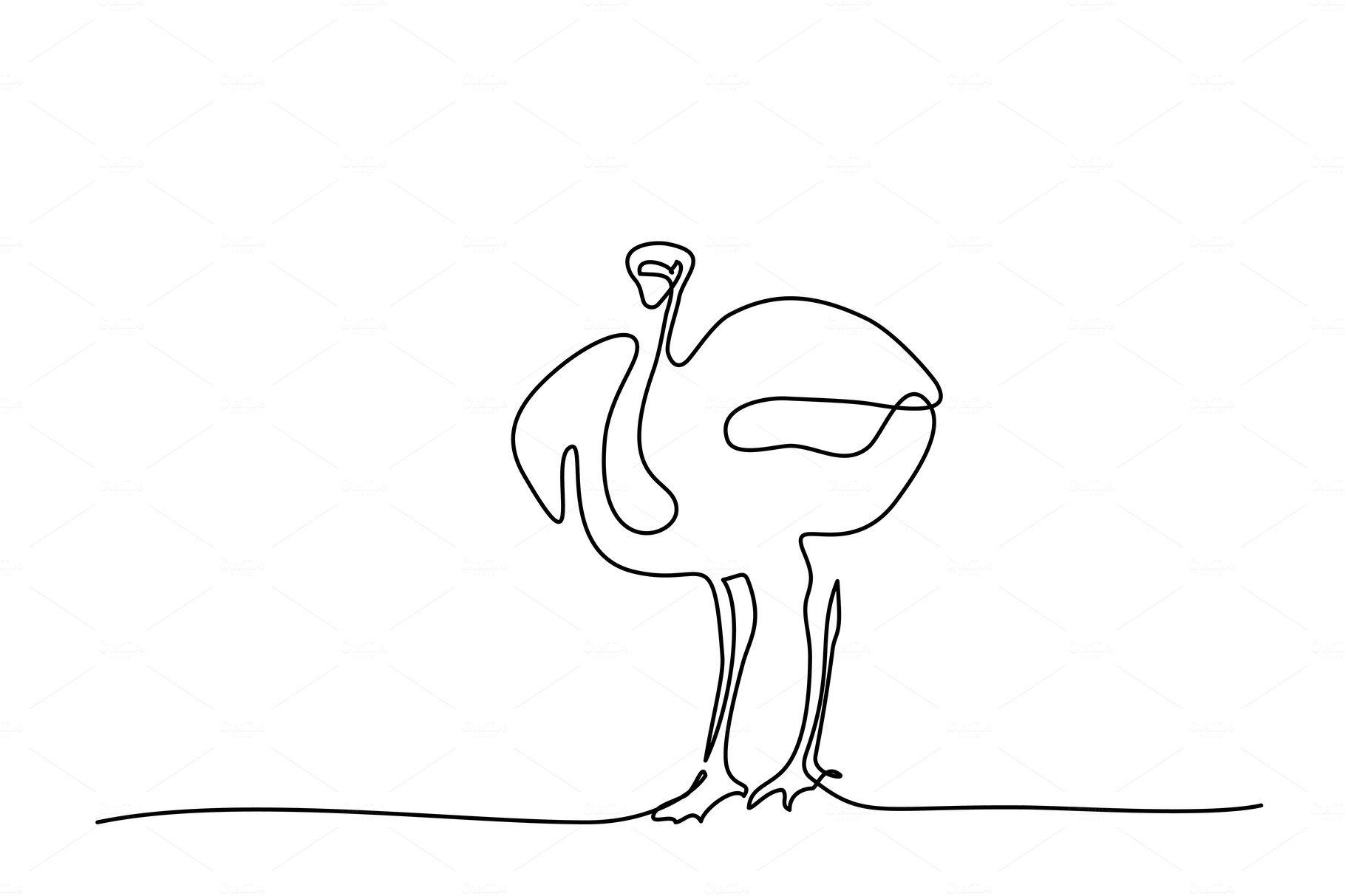 Ostrich walking symbol cover image.