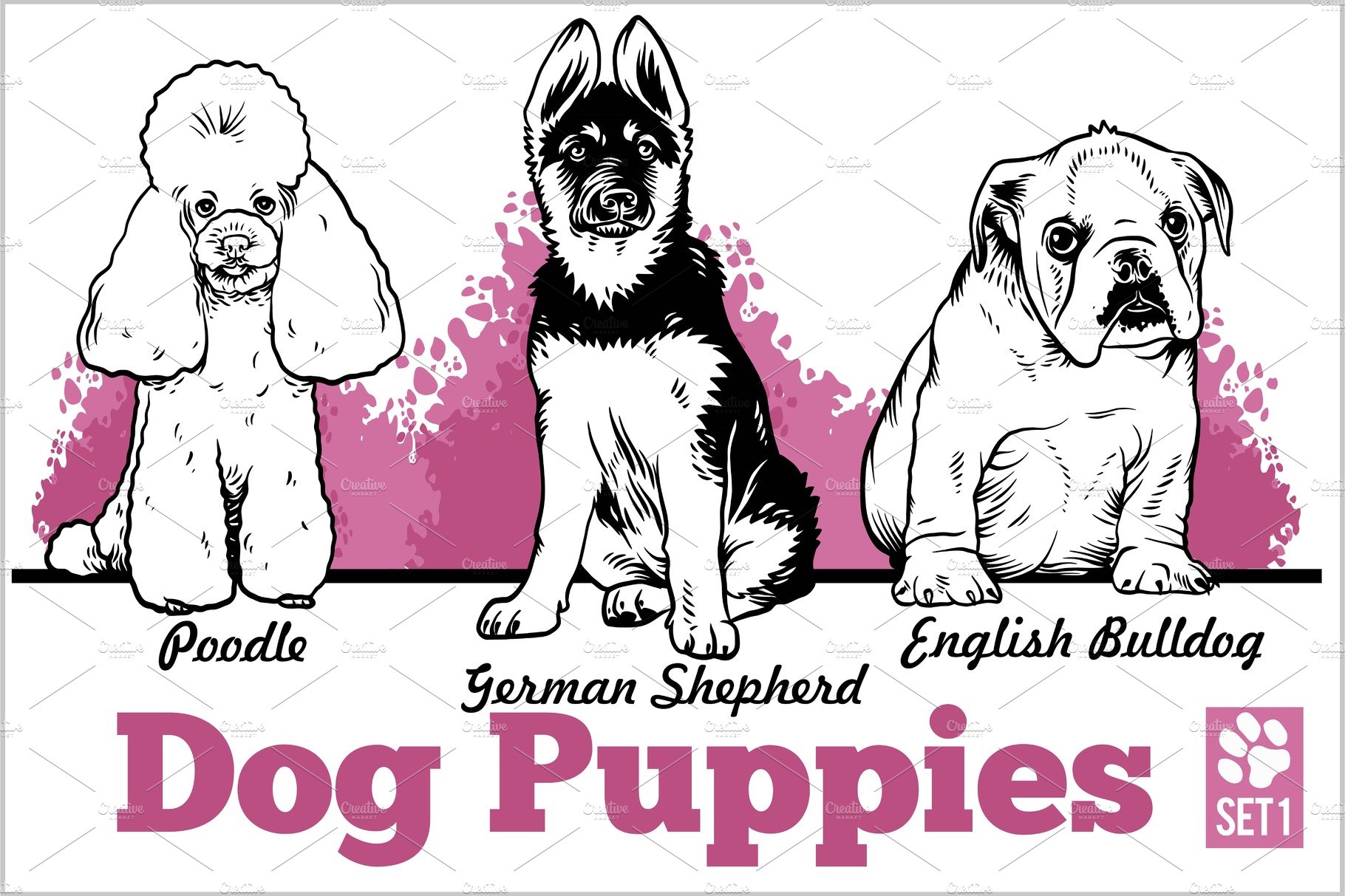 English Bulldog, Poodle and German cover image.