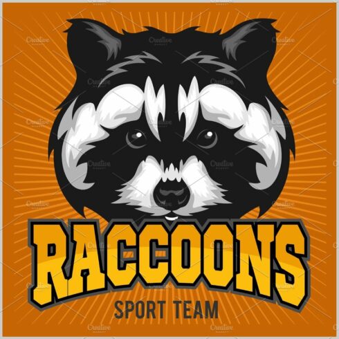Raccoon head - sport emblem vector illustration cover image.