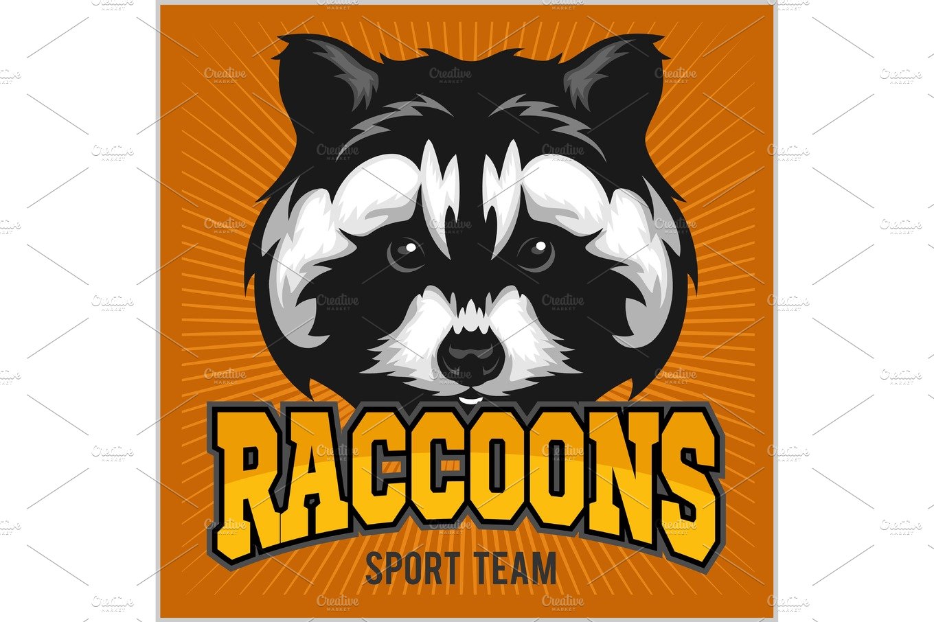 Raccoon head - sport emblem vector illustration cover image.