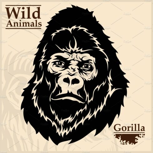 gorilla head vector graphic cover image.