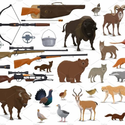 Hunting ammo, hunter trophy animals cover image.
