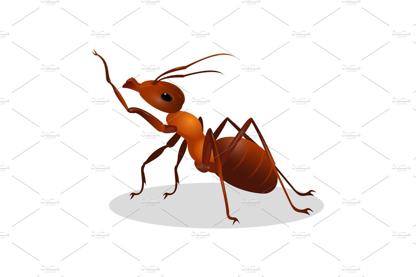 Cartoon realistic ant isolated on white. One leg raised up cover image.