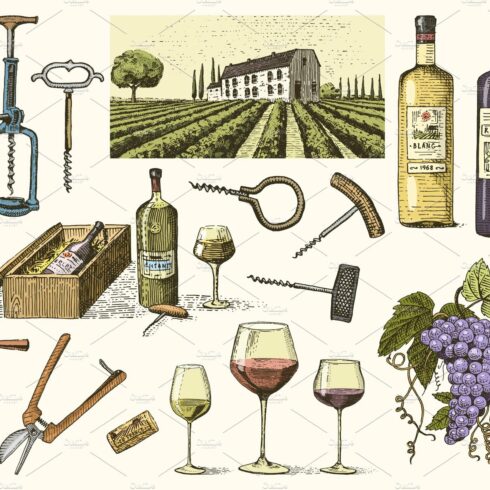 wine harvest products, press, grapes, vineyards corkscrews glasses bottles ... cover image.