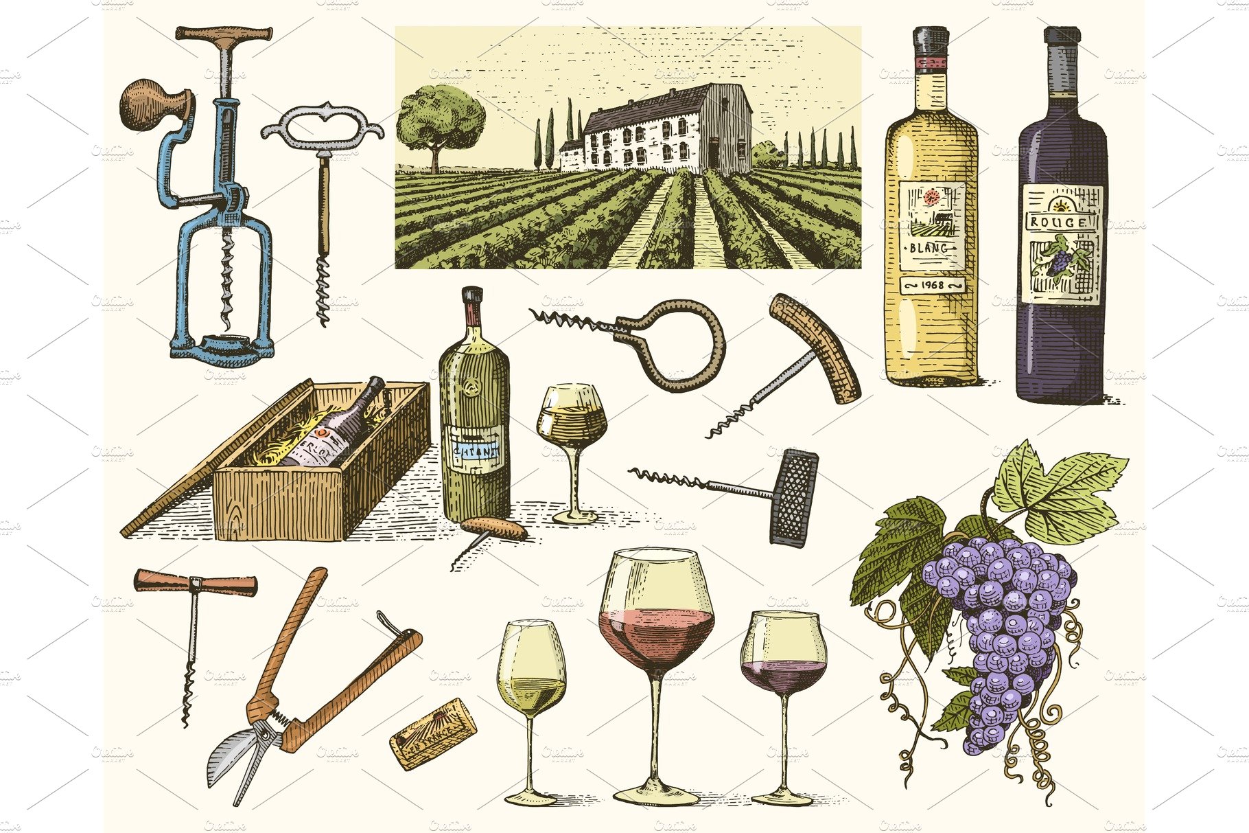 wine harvest products, press, grapes, vineyards corkscrews glasses bottles ... cover image.