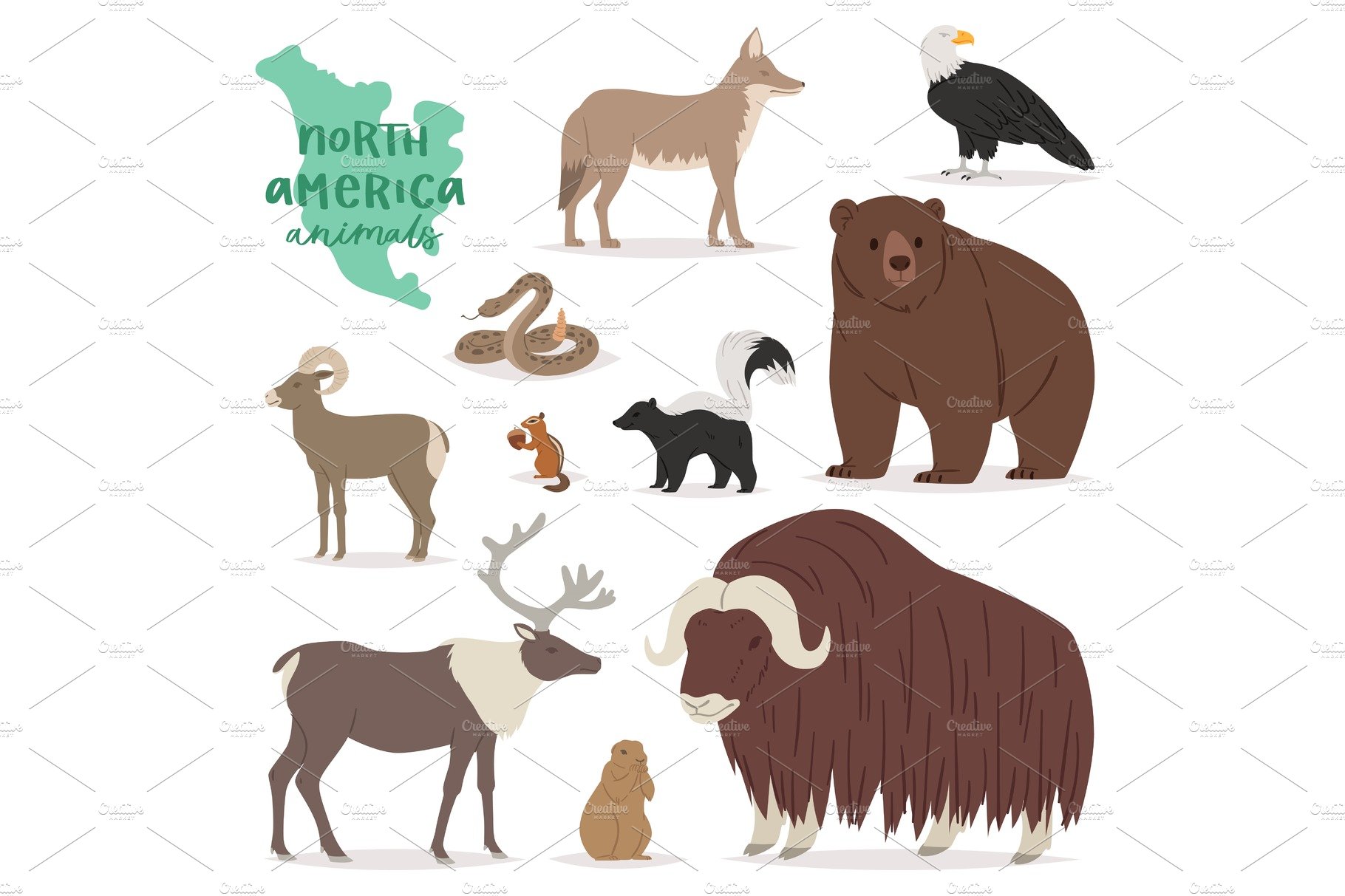 Animal vector animalistic character cover image.