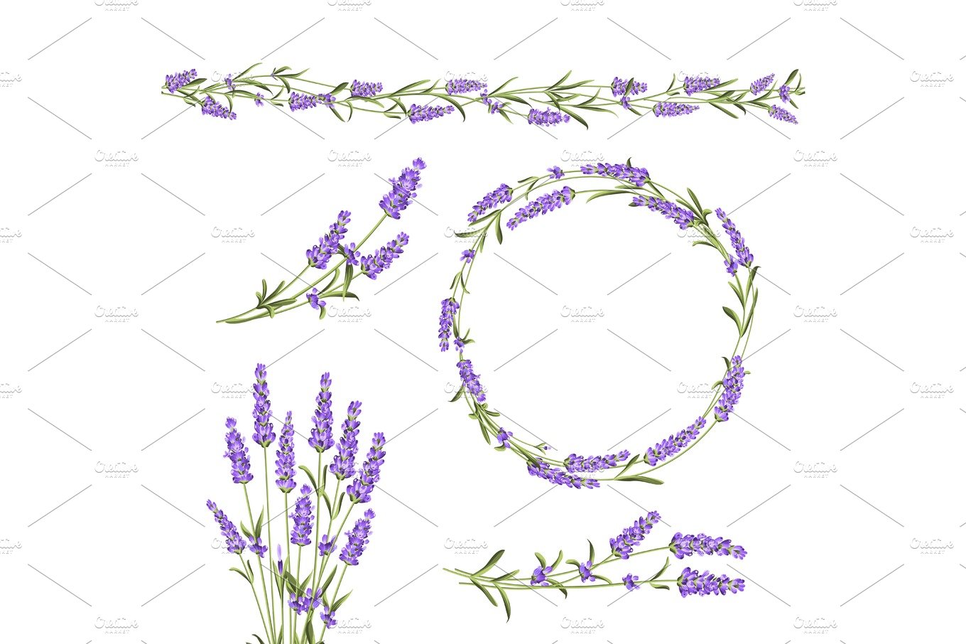 Set of lavender. cover image.
