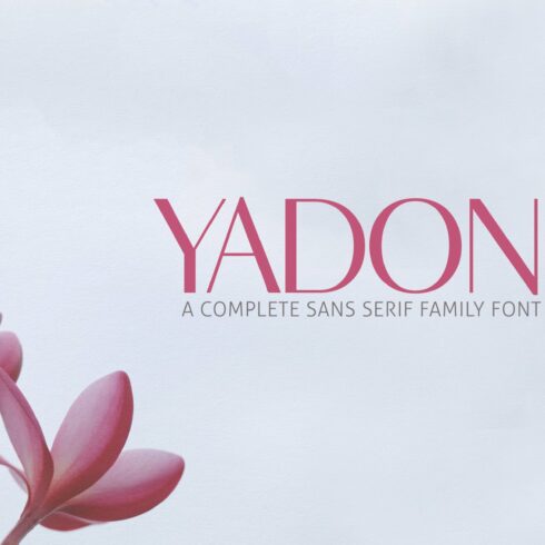 Yadon Sans Serif Fonts Family Pack cover image.