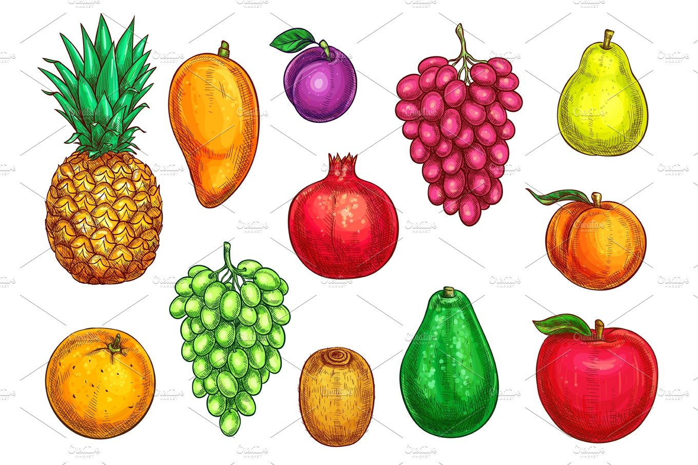 Vector isolated icons of exotic garden fruits cover image.