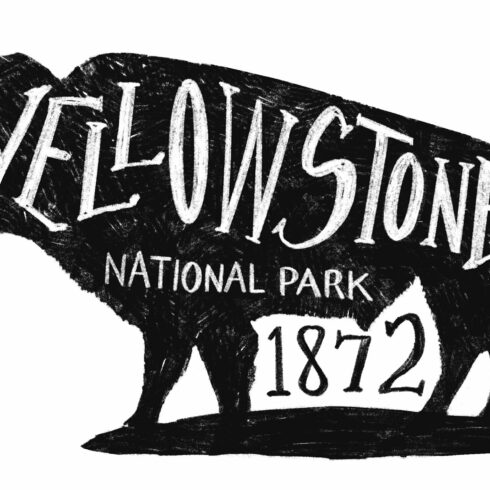 Yellowstone National Park Buffalo cover image.