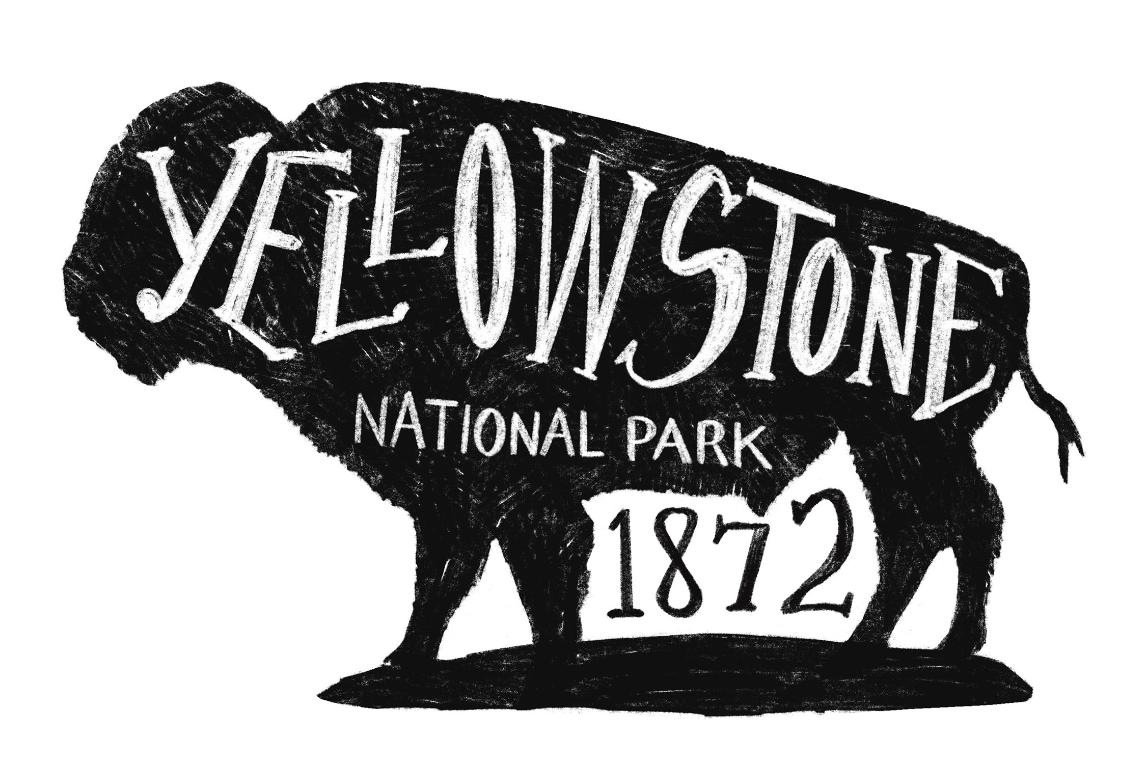 Yellowstone National Park Buffalo cover image.