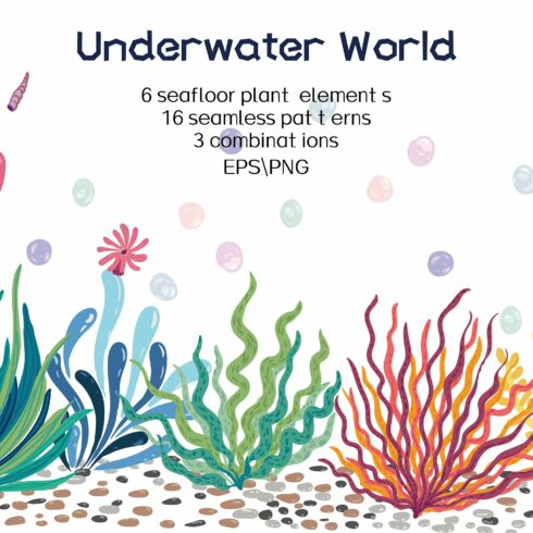 Beautiful underwater world cover image.