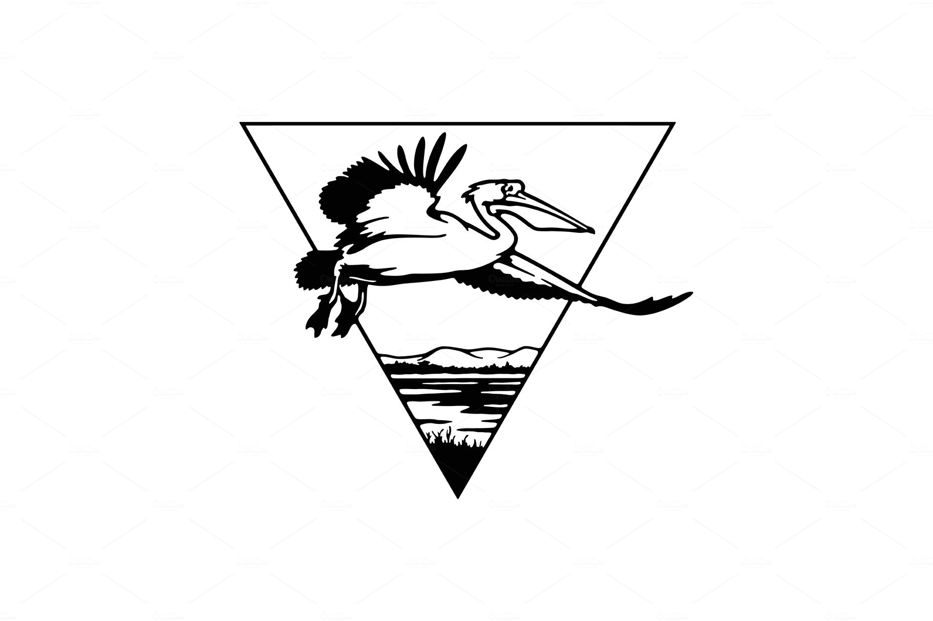 Pelican, Flight Wildlife, Wildlife cover image.