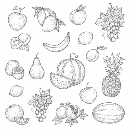 Ntaural ripe fruits, vector skethes cover image.