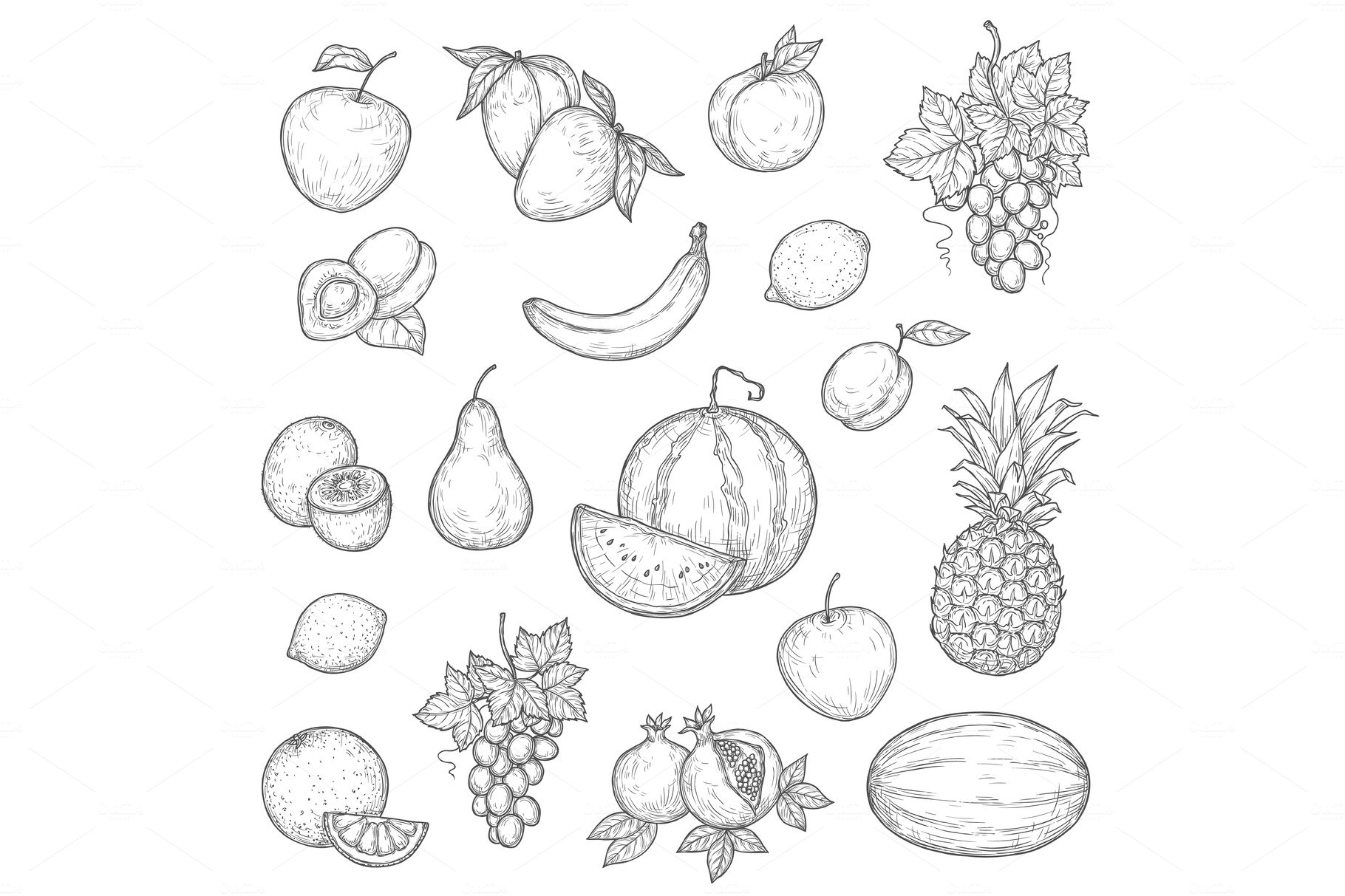 Ntaural ripe fruits, vector skethes cover image.