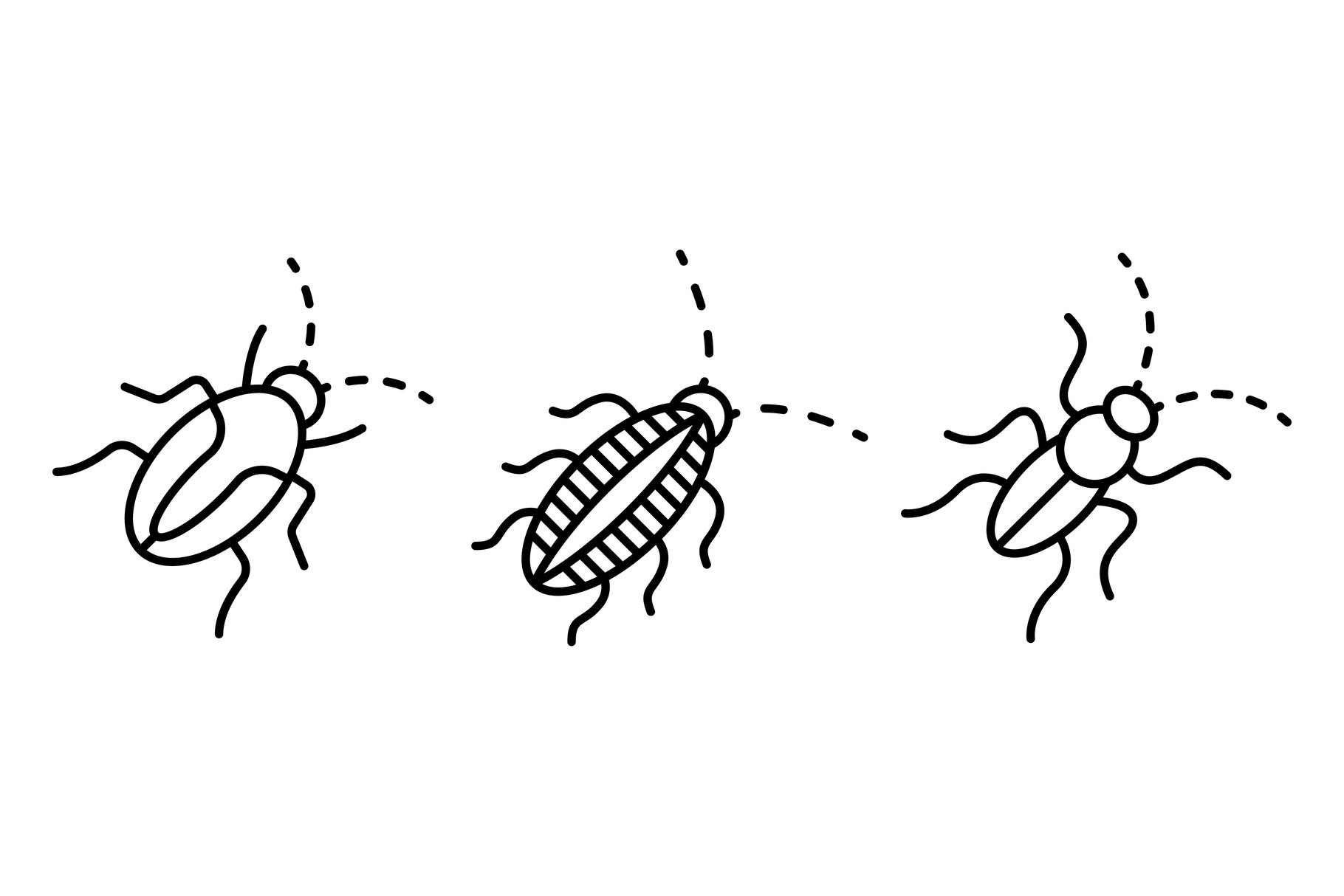 Cockroach icons set, outline style cover image.