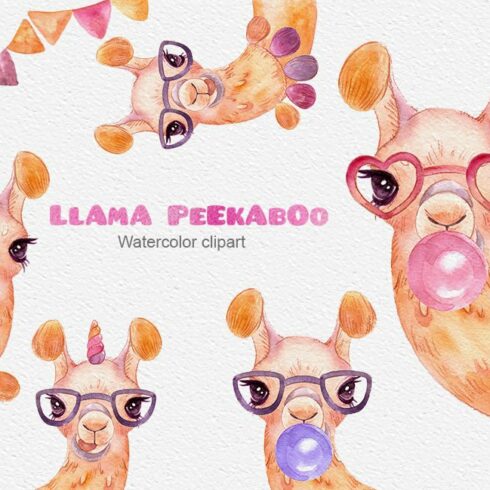 Llama peekaboo - watercolor clipart cover image.