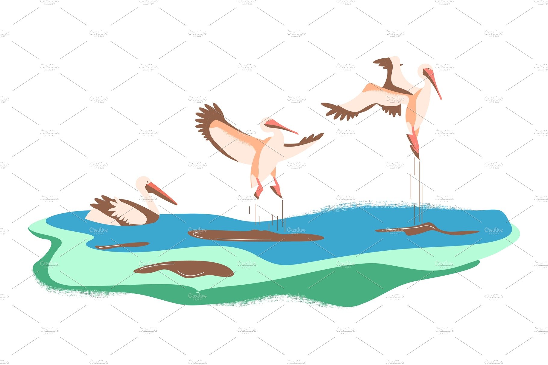 Cartoon pelicans in different poses cover image.