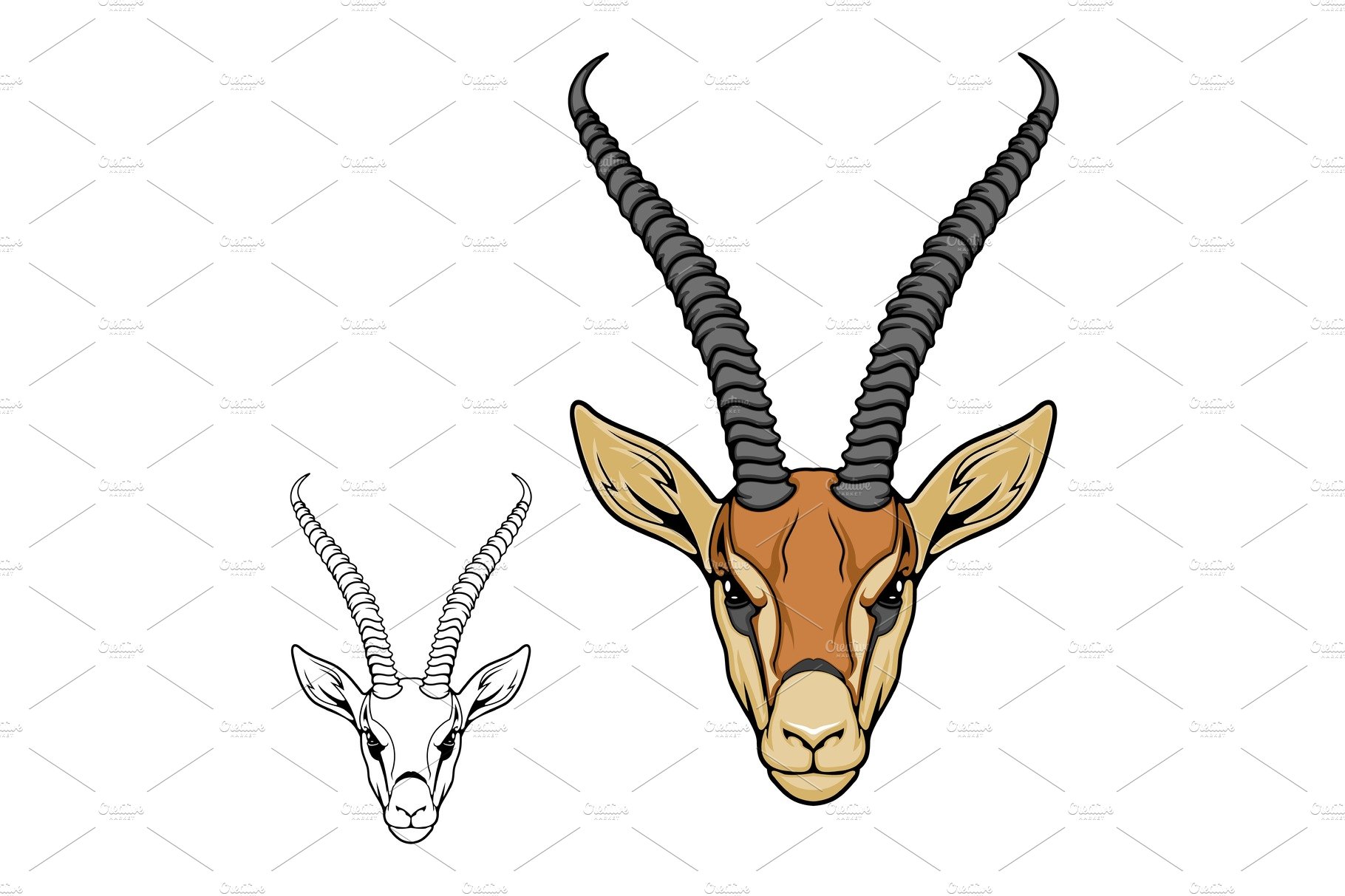 Impala antelope animal cover image.