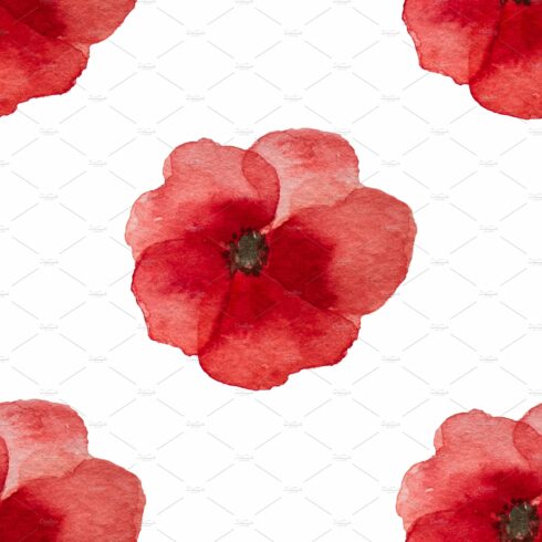 Beautiful picture of poppy flowers. Happy Remembrance Day cover image.