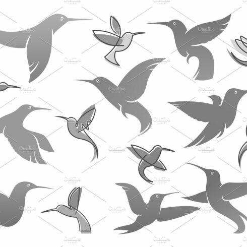 Vector icons of colibri humming bird cover image.