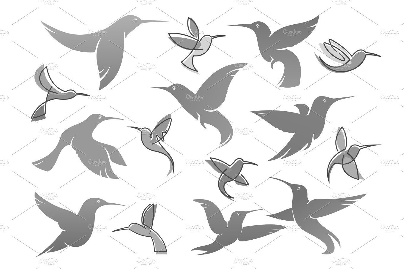 Vector icons of colibri humming bird cover image.