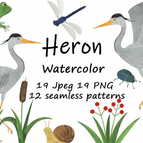 Set of heron watercolor illustration cover image.
