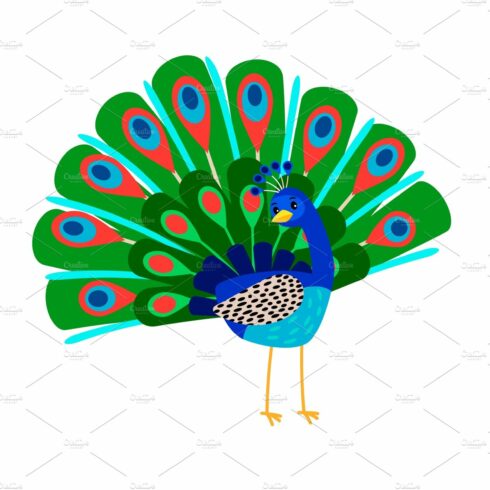Cartoon peacock bird icon cover image.