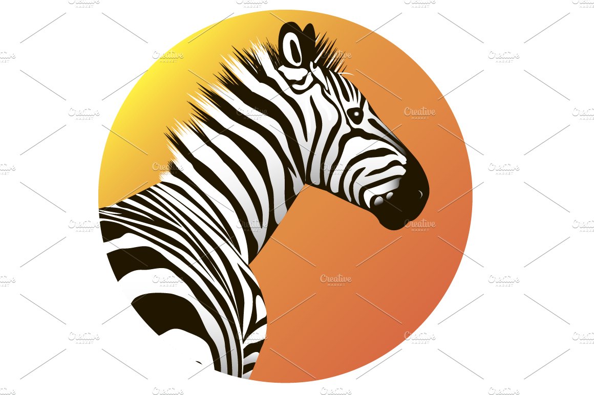 Zebra cover image.