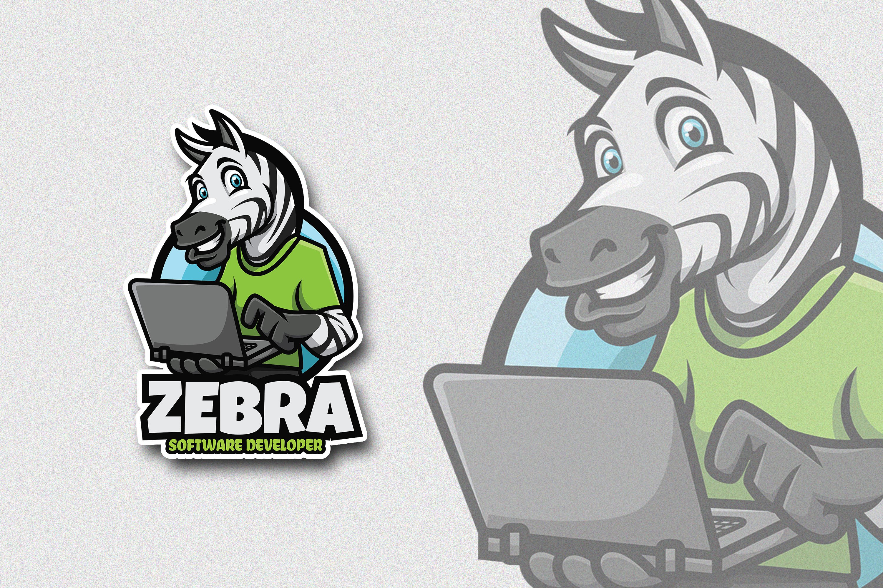 Zebra Software Developer Logo cover image.