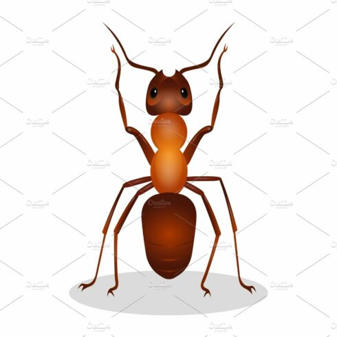 Realistic ant with two legs raised up  hooked clows isolated cover image.